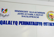 ​75 дней борьбы за жизнь: как врачи Шымкента спасли малыша весом 700 грамм