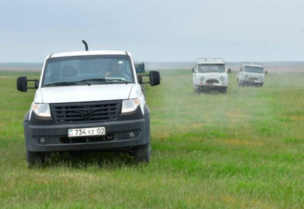 ТҮРКІСТАН: Ордабасыда шегірткеге қарсы жұмыстар жүйелі жүргізіліп жатыр