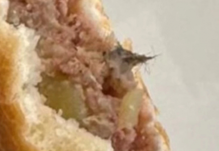 Семейде бәліш ішінен тышқанның жүні табылған соң, мектеп асханасы жабылды Семейде бәліш ішінен тышқанның жүні табылған соң, мектеп асханасы жабылды