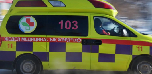 Қарағандыда бұтақ құлап, бес жасар бала қаза тапты