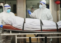 "Ми ісініп, жүйке жүйесі зақымданады": Қытайлық дәрігерлер Нипах вирусын жұқтарудың салдарын атады