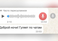 «Айыппұл аласыз»: полиция желіде тараған ақпаратқа жауап берді