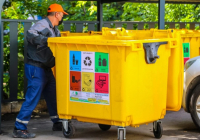 Қоқыс жәшігінен табылған нәресте: Семейде күдіктілер босатылды