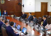 Үкімет басшысы заңды жаңа Конституцияға сай өзгертуге тапсырма берді