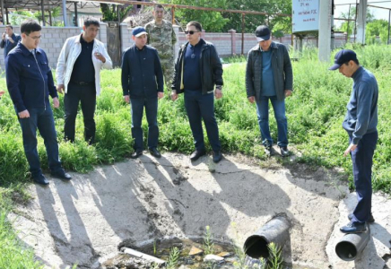 ТҮРКІСТАН: Жетісайда арық-атыздардың жағдайына талдау жүргізілді