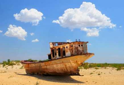 Халықаралық Аралды құтқару қорын дамыту бойынша мемлекетаралық комиссияның кезекті отырысы өтті