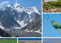 Қазақстан табиғатты қорғау жөніндегі тұжырымдаманы бекітті