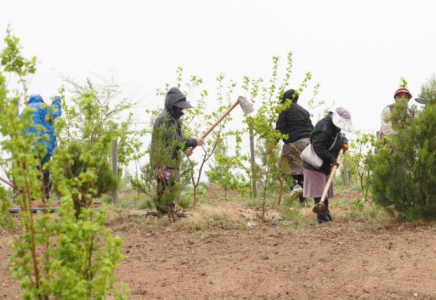 Түркістанда экопарк құру жұмысы пысықталды