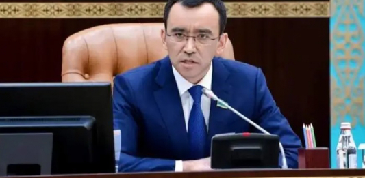 Сенат төрағасы бизнесті қолдауға арналған бағдарламаларды жүйелеуді ұсынды