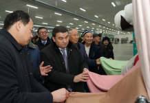 Түркістанда толық циклді мақта агроөнеркәсіптік кешені іске қосылды