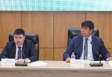 Энергетика вице-министрі түркістандықтармен кездесті