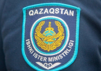 ​Көлікке мемлекеттік туды ілу: 4 полицей қызметтен кетті