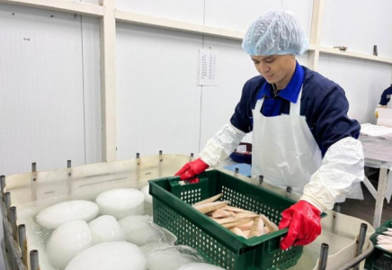 2025 жылдың 11 айында 60 мың тоннаға жуық дайын балық өнімі өндірілді