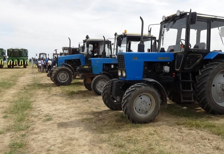 Түркістан облысында егін шаруашылығы өндірісі өнімінің көлемі 10 млрд. теңгеден асты