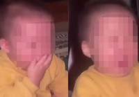 Баланы ұрып-соғып, видеоға түсірген: Таразда қылмыстық іс қозғалды