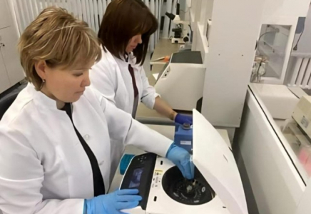 Қазақстандық ғалымдар өнімділікті 10 ц/га дейін арттыратын құрғақшылыққа төзімді сорттарды патенттеді