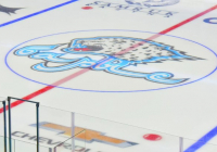 Қарағандыда хоккейші мұз айдынында көз жұмды