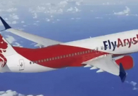 FlyArystan рейсі құстармен соқтығысты