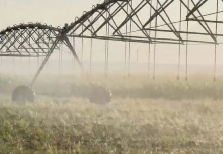 Су үнемдеу технологиясы енгізілген егіс алқабы 1,3 млн гектарға дейін жеткізілмек