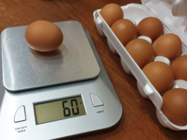 ​14 күнде артық салмақтан арылтатын СУПЕР диета