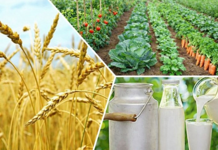 Соңғы 5 жылда тіркелген ауыл шаруашылығы кооперативтерінің саны 53%-ға өсті