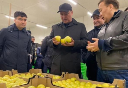 ТҮРКІСТАН: Сайрамдағы жоба өзге өңірлерге тәжірибе ретінде ұсынылады
