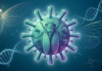 3 мемлекетте коронавирустың "цикада" деген түрі тіркелді