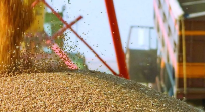 Қазақстан мен Ресей ауыл шаруашылығы өнімдері мен азық-түлік саудасын кеңейтуге уағдаласты