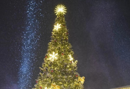 Маңғыстау облысында жасөспірімдер жаңа жылдық шыршаны қасақана бүлдірген