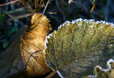 6 қыркүйек күні бірнеше өңірде үсік жүреді