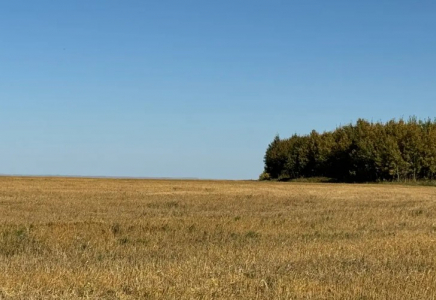 Абай облысында пайдаланылмаған 42 мың гектар жер учаскесі мемлекетке қайтарылды