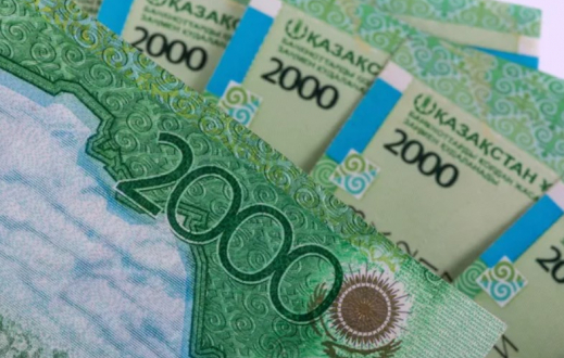 Мұрағат ісі мен ветеринария мамандарына еңбек жағдайы үшін үстемақы белгіленді