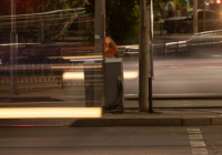 Ақтөбеде көлік қағып кеткен 7 жасар қыз қайтыс болды