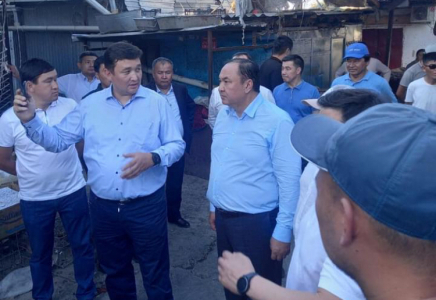 ТҮРКІСТАН: Өрттен зардап шеккен кәсіпкерлерге көмек көрсетіледі