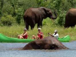 ШЕТЕЛДЕГІ ҚАУІП: қандай ережелерді естен шығармау керек