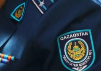 Алматыда қоғамдық тәртіпті бұзған шетелдіктер елден шығарылды