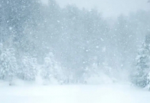 Қазақстанның 16 облысында дауылды ескерту жарияланды