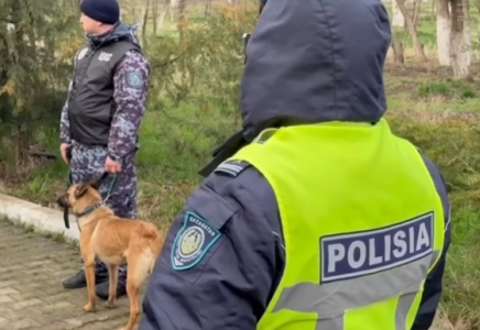 ​ШЫМКЕНТ: саябақта есірткі жасырып жүргендер ұсталды