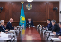 Үкіметте көктемгі егіс жұмыстарының барысы және вегетациялық кезеңді өткізу мәселелері қаралды