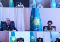 Өңірлерде тұрақтандыру қорларындағы көкөністерді белсенді сату басталды