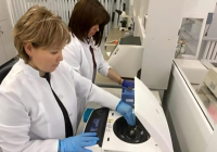 Қазақстандық ғалымдар өнімділікті 10 ц/га дейін арттыратын құрғақшылыққа төзімді сорттарды патенттеді