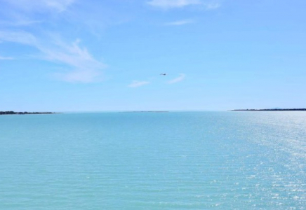 Балқаш жағалауындағы пайдаланылмаған жер мемлекет меншігіне қайтарылды