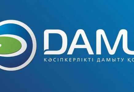 Биыл «Даму» қоры 9 мыңнан астам жобаны қаржыландырды