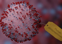 «Бес адамнан ауру анықталды»: денсаулық сақтау министрлігі қайтадан короновирус туралы айта бастады