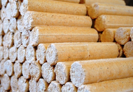 Солтүстік Қазақстан облысының кәсіпкерлері экологиялық таза брикеттер жасап шығару үшін БҰҰДБ грантын алды