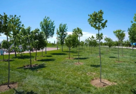 ТҮРКІСТАН: «Таза Қазақстан» бағдарламасы аясындағы жұмыстардың ауқымы кеңейеді