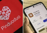 Pinduoduo мен Claude компаниясы Қазақстанға 8 миллиард теңге салық төледі