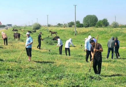 ТҮРКІСТАН: Жетісайда ауқымды сенбілік жүргізілді