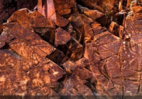 Алматыда «Таңбалы: Бабалар коды» атты халықаралық көрме ашылады