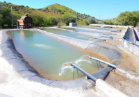 ТҮРКІСТАН: Кәсіпкерлерге балық шаруашылығын қолдау шаралары түсіндірілді